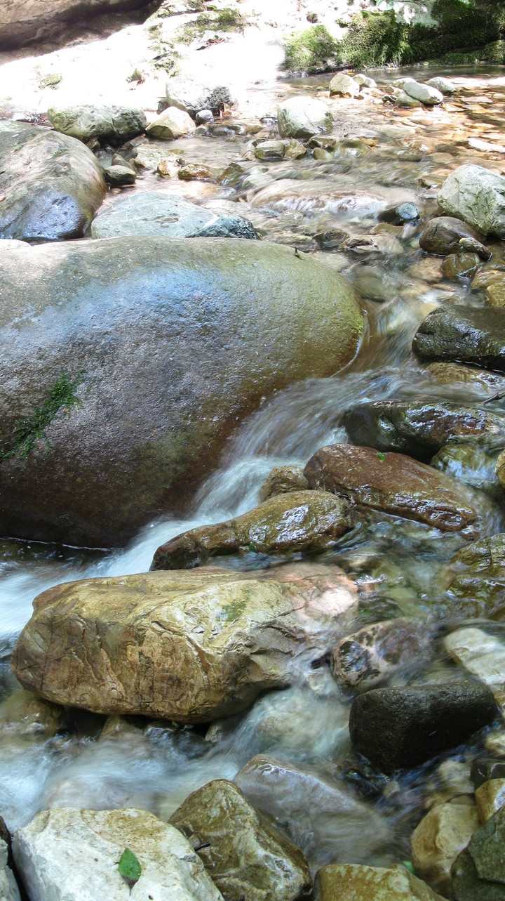 nature