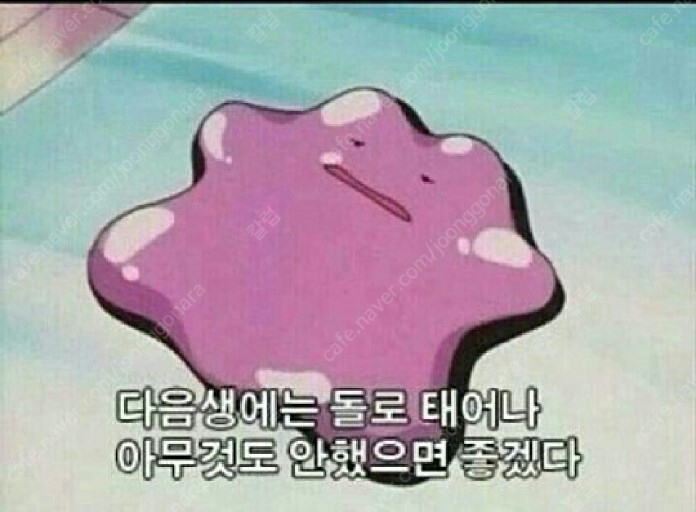 메타몽