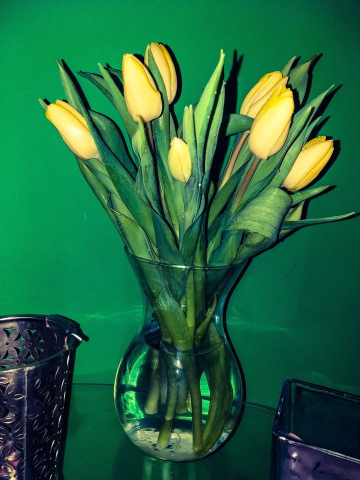 spring