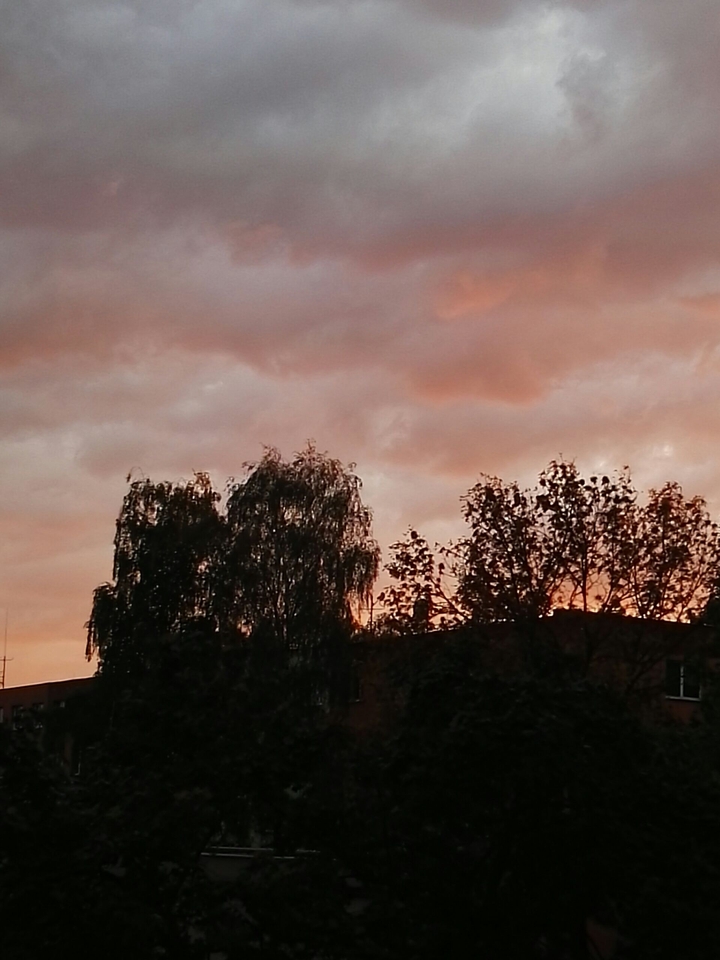 Autumnal sunset.