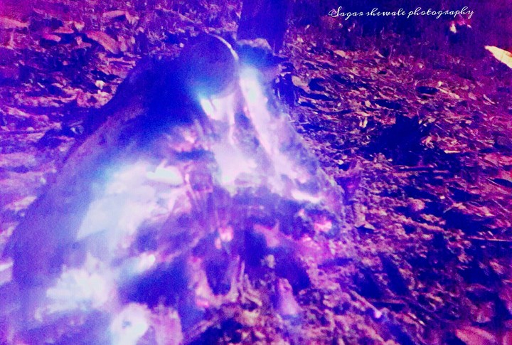 Fire