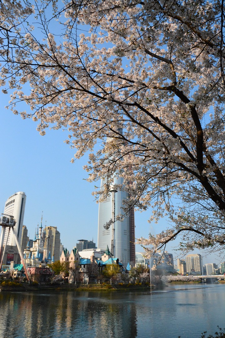 풍경이미지