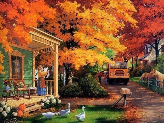Beauté de la nature