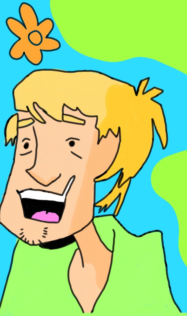 Shaggy
