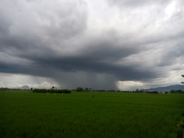 rain
