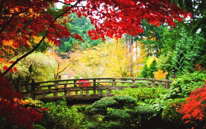 colour 