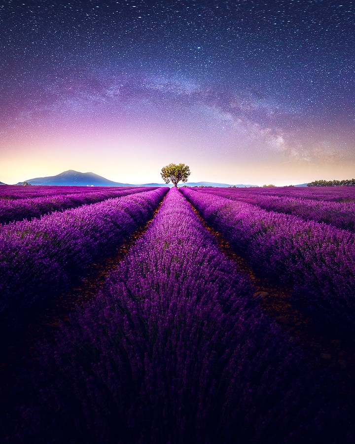 nature