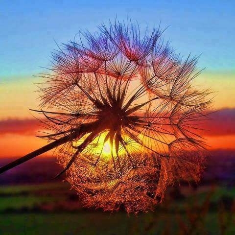 Abendstunde