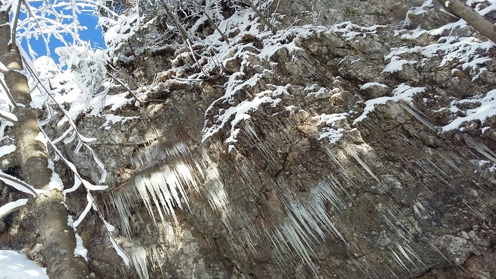 winter