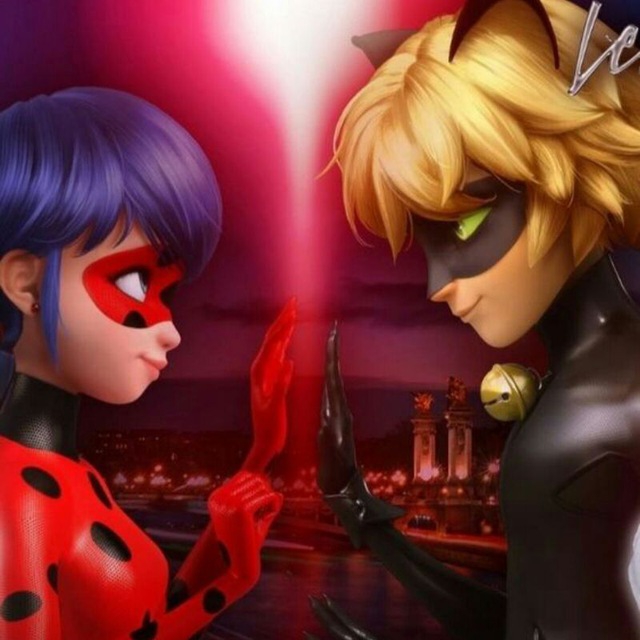 miraculous ladybug and catnoir