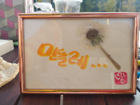 민들레
