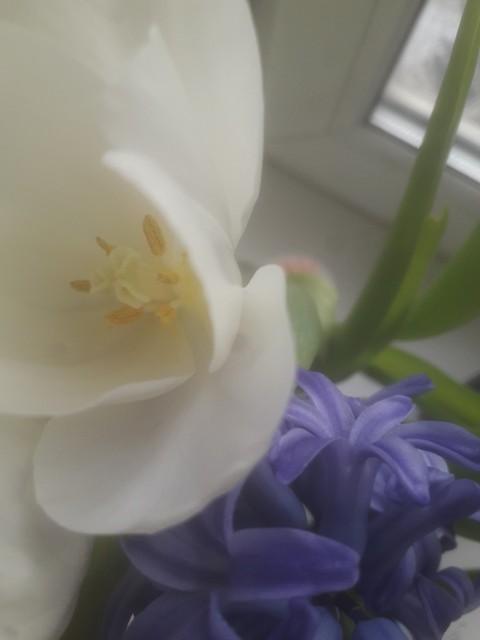 spring is here