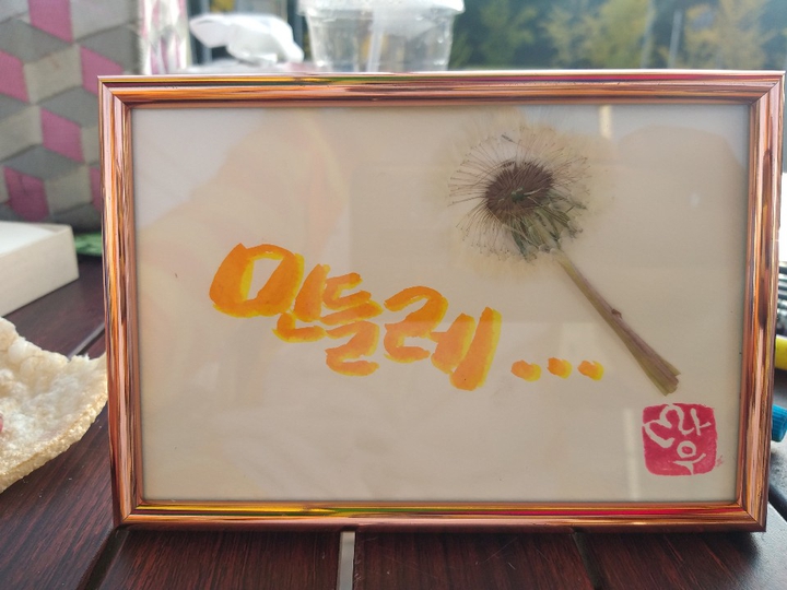 민들레
