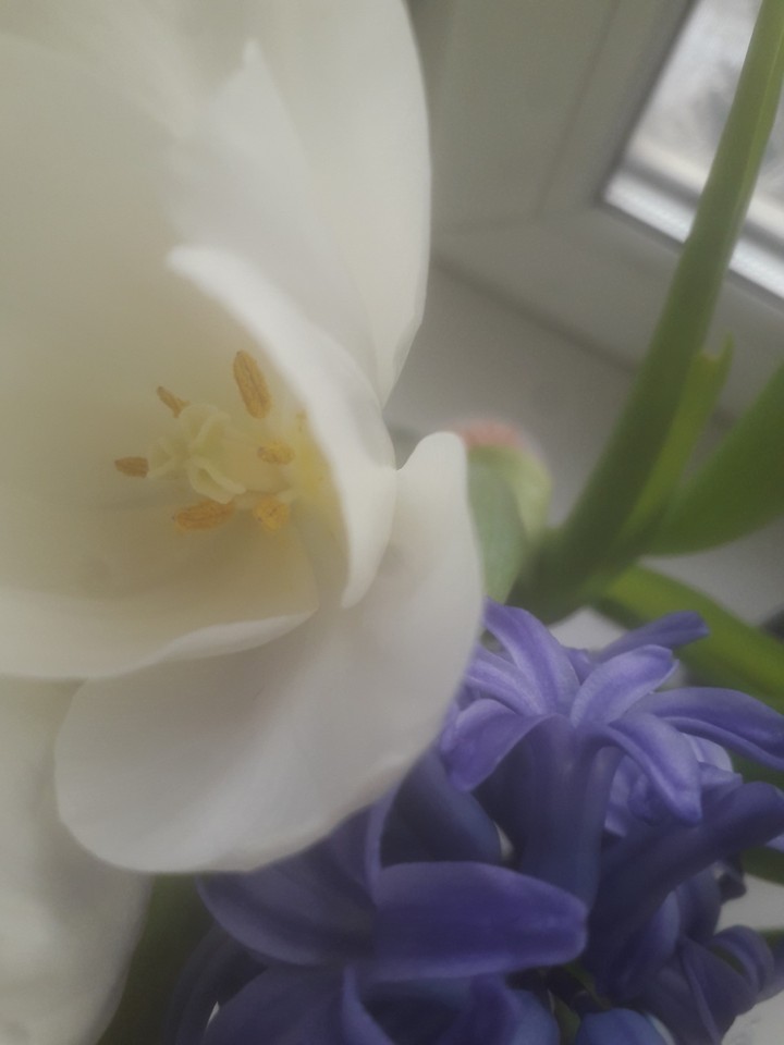 spring is here