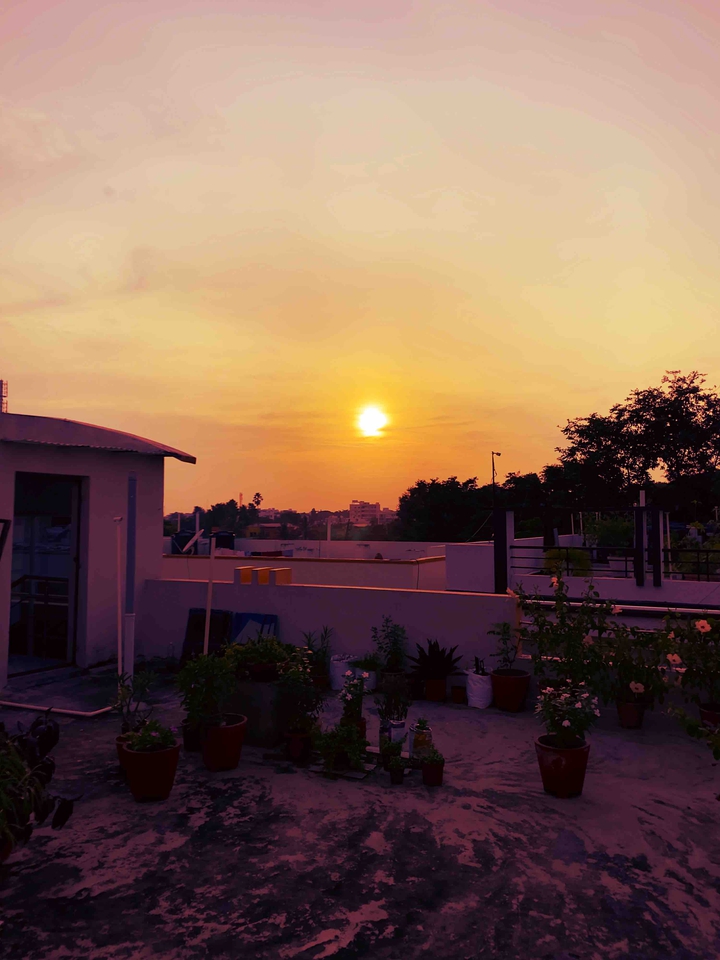 sunset