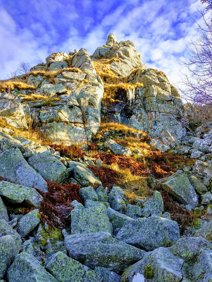colored the nature