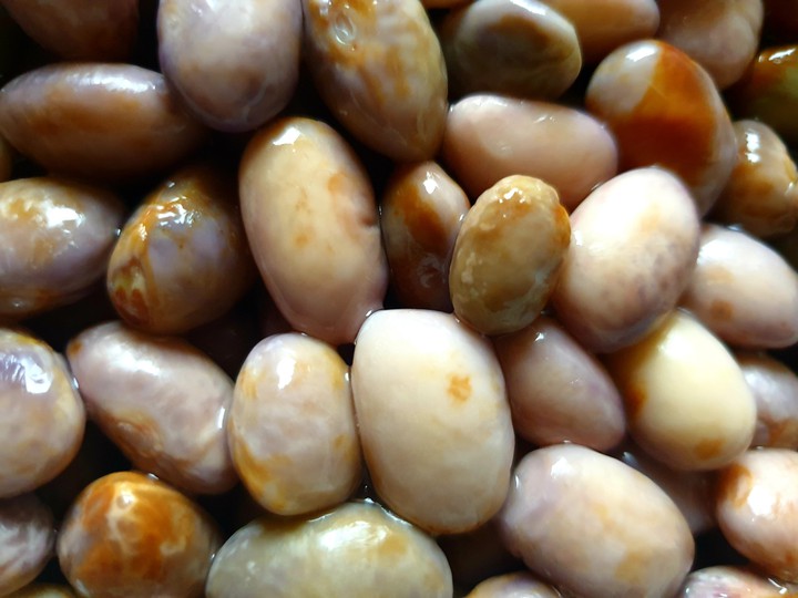 kidney bean