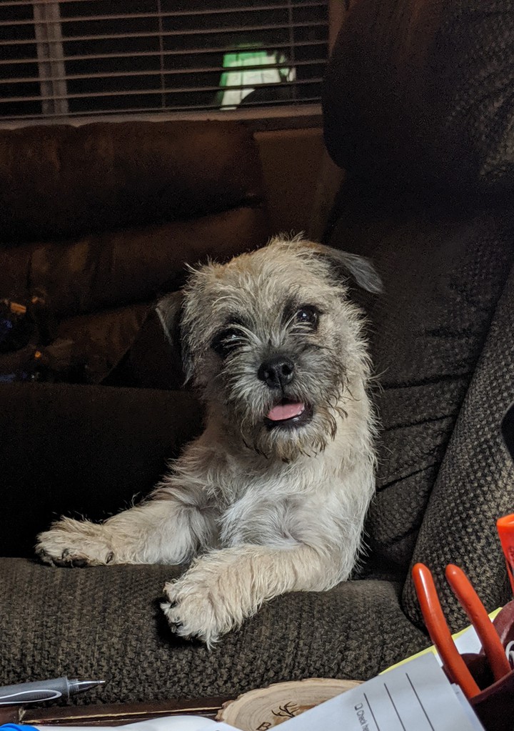 Butters being sassy in the lazyboy
