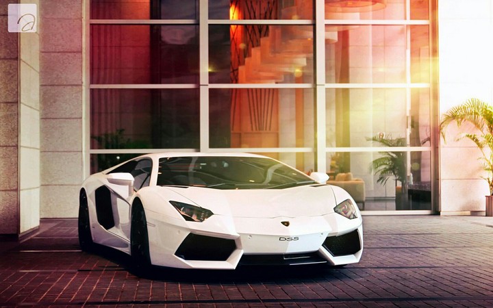 White Gini