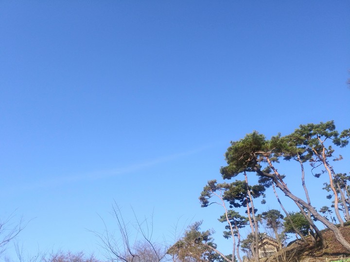 푸름