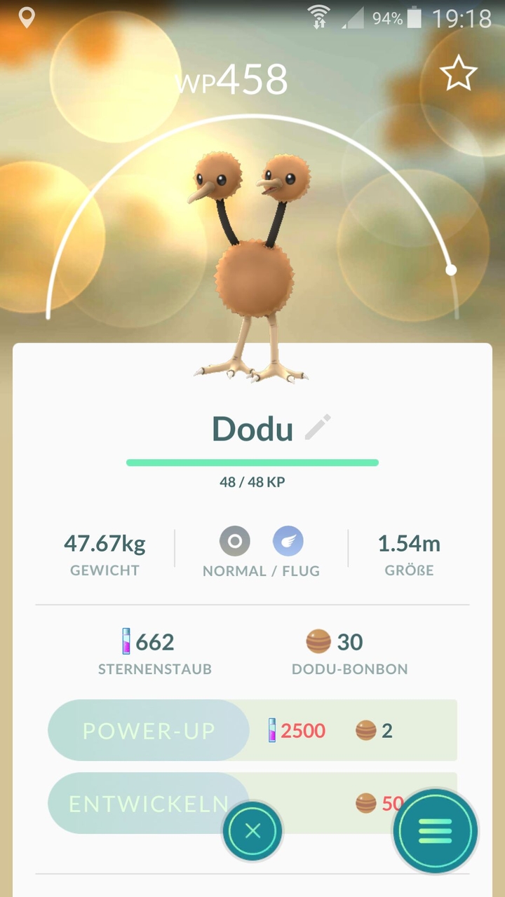 dodo