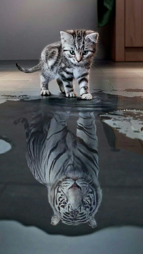 Don't be you be better!