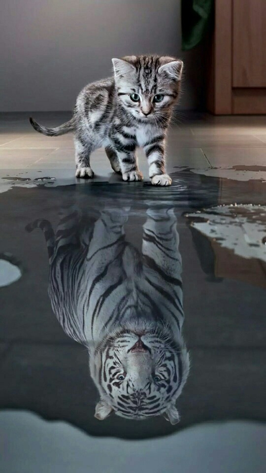 Don't be you be better!