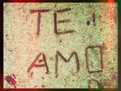 I love you