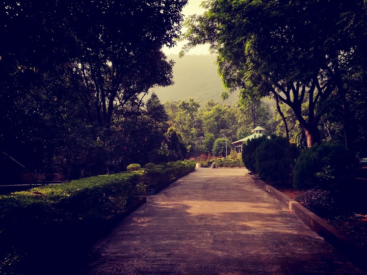 Path