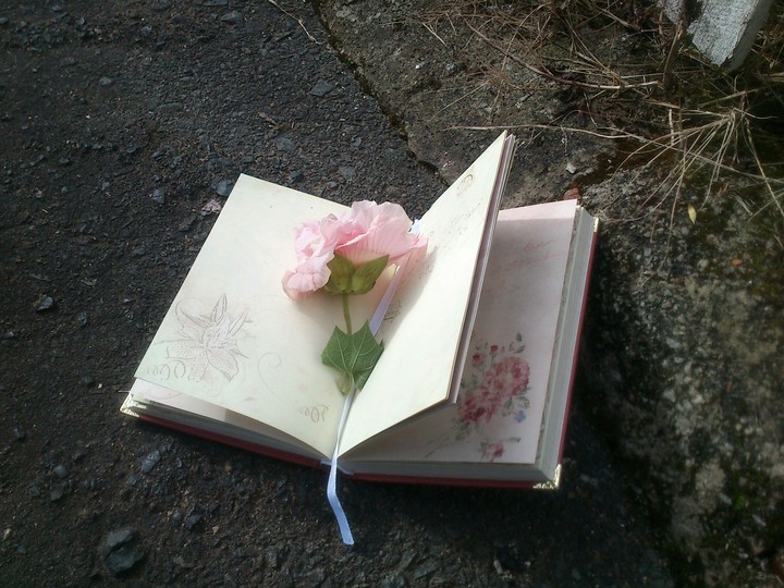 Floral diary