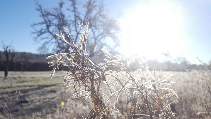 Sunny Winter