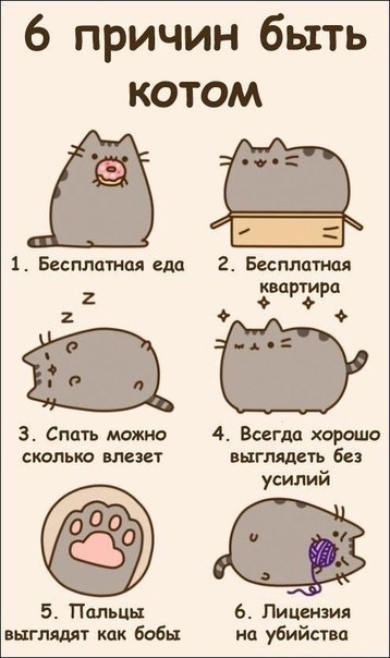 с уважением