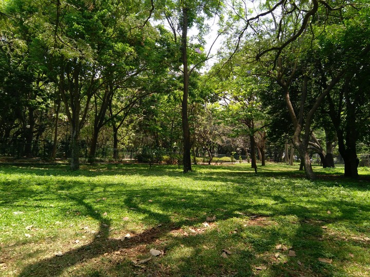 Green and Green