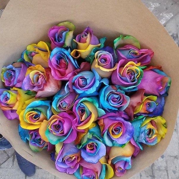 flovers