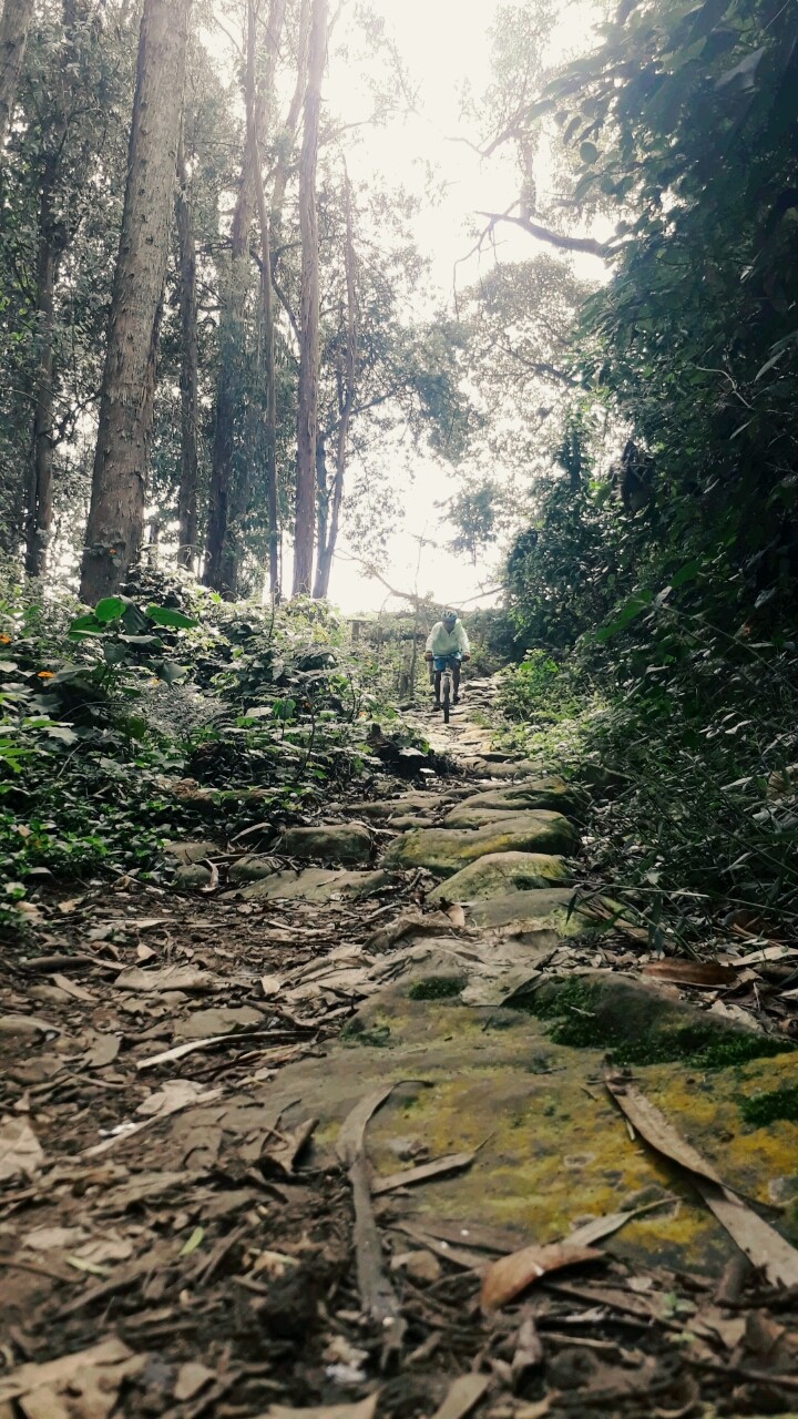 Down Mountains