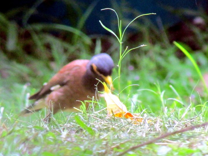 out of focus