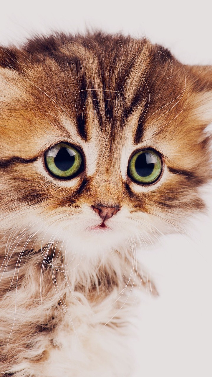 Green eyes