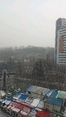snow and house.