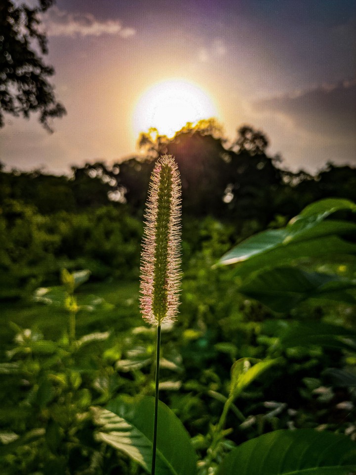 Morning photography