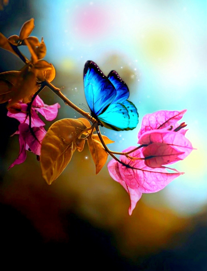 Twig & Butterfly