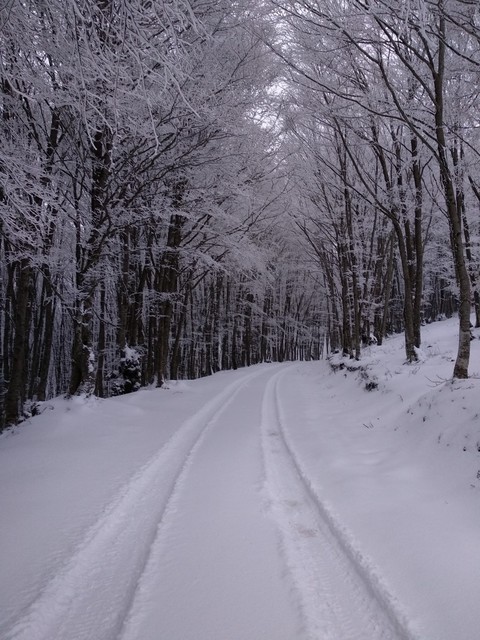 heaven on earth (in winter) ❄️