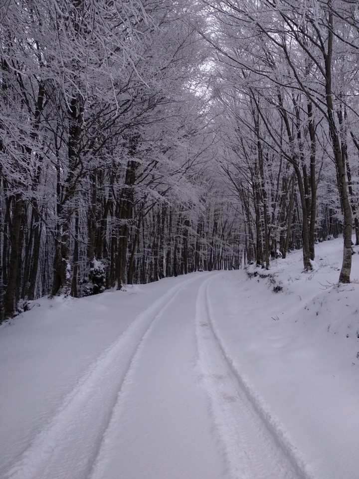 heaven on earth (in winter) ❄️