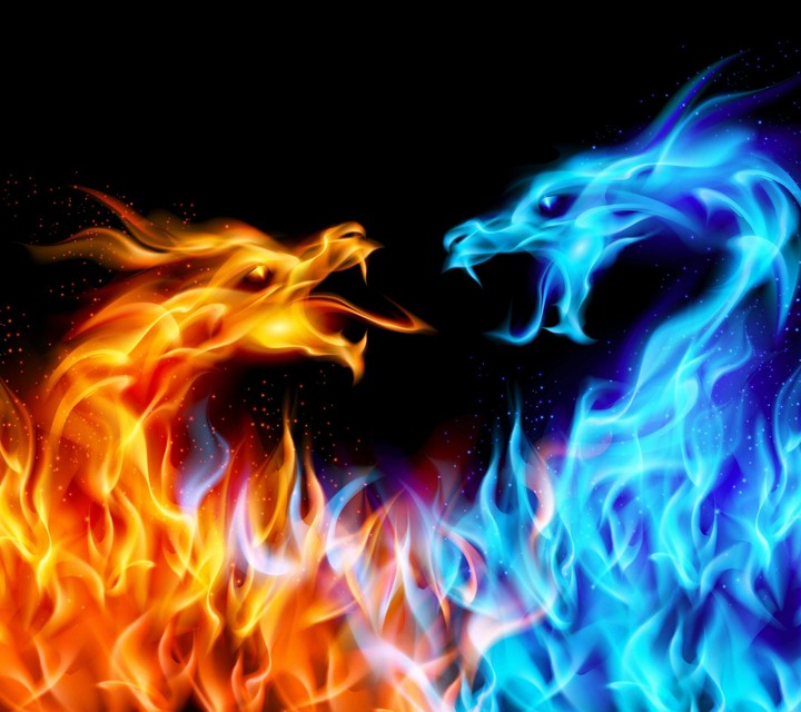 dragons