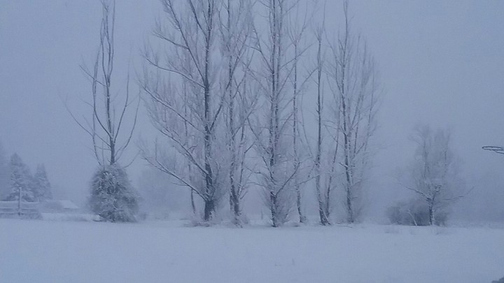 Winter