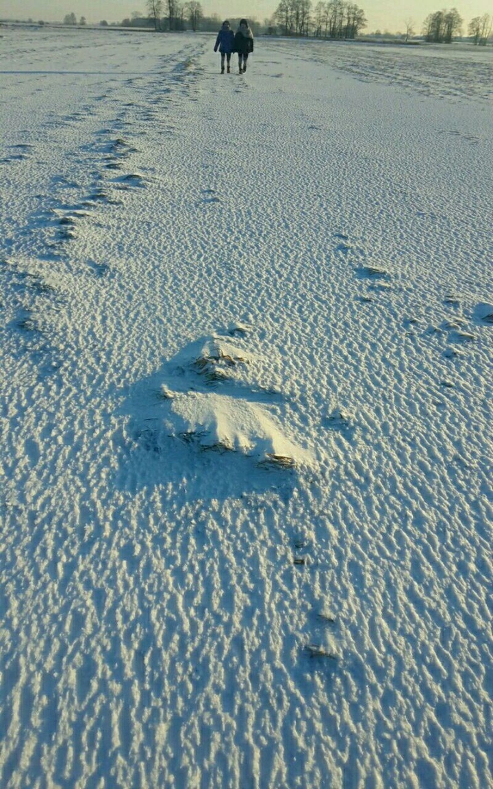 cool winter