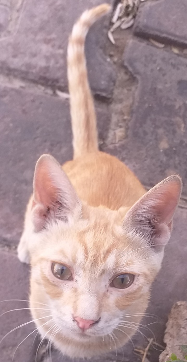 ?