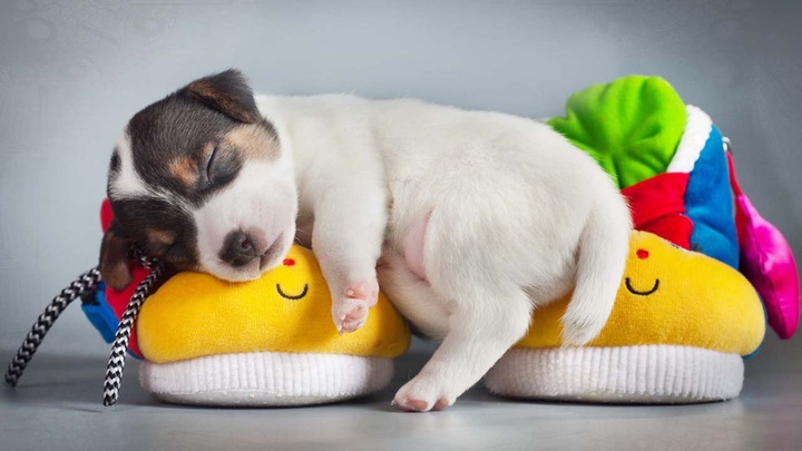 Sleeping