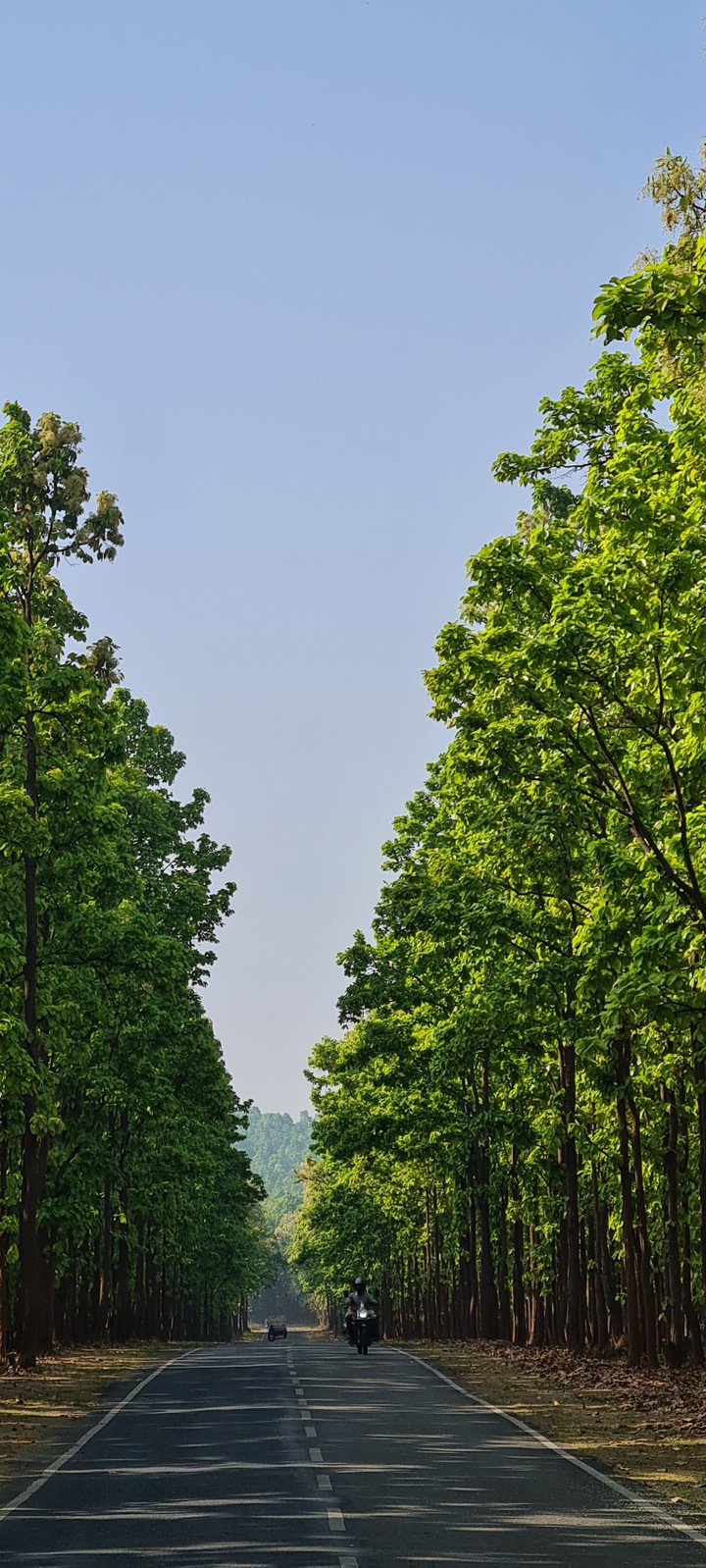 nature