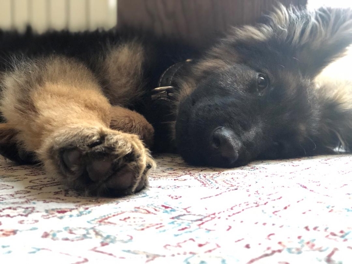 Look at her eyes...