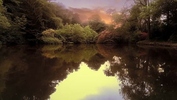 Forgotten Lake